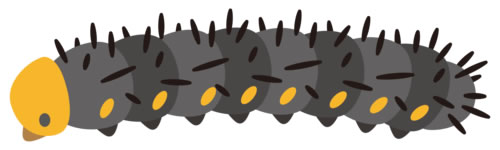 ケムシ＜Caterpillar＞
