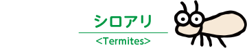 シロアリ＜Termites＞