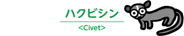 ハクビシン＜Civet＞